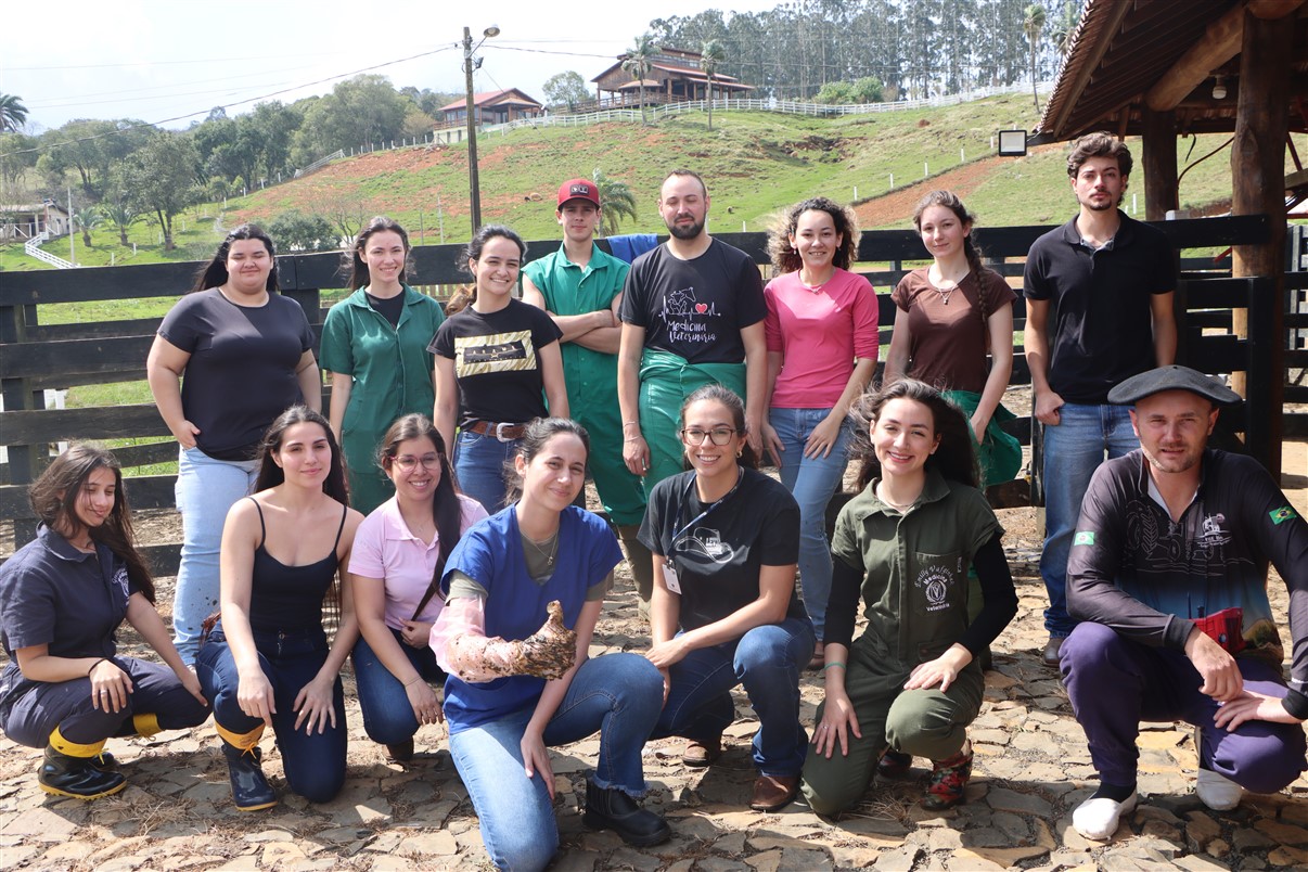 Alunos de Medicina Veterinária participam de vivência extensionista em reprodução bovina