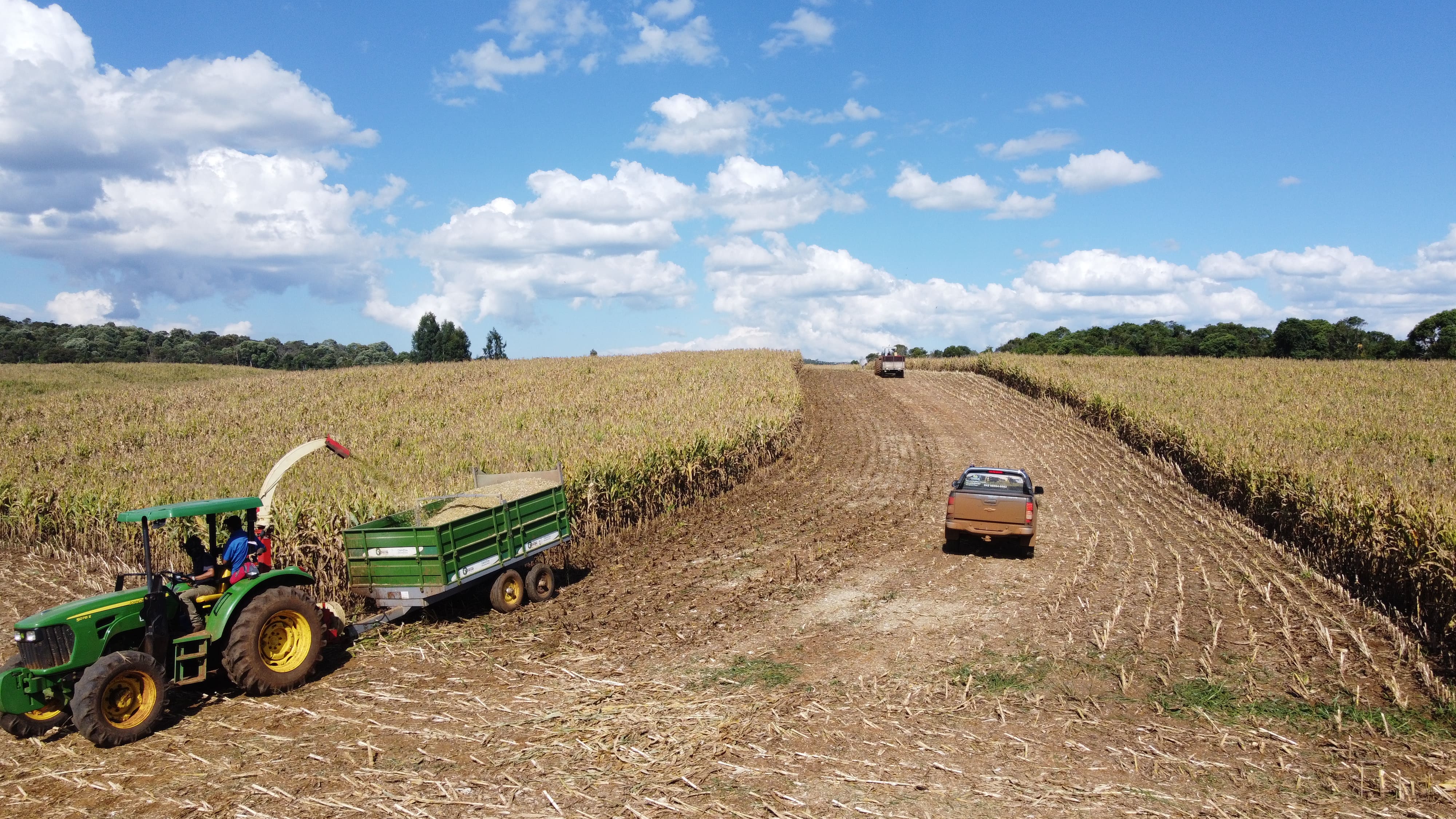 Qualidade e Técnica: conheça o curso de Agronomia da UniGuairacá Centro Universitário