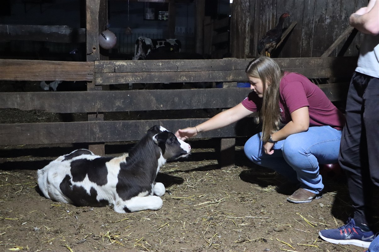 Acadêmicos de Medicina Veterinária UniGuairacá realizam atividade prática na Agropecuária Rickli