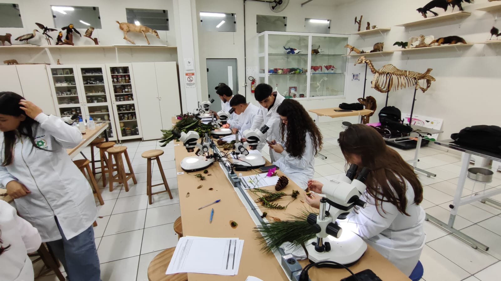 Aula prática aproxima estudantes de Agronomia da diversidade vegetal